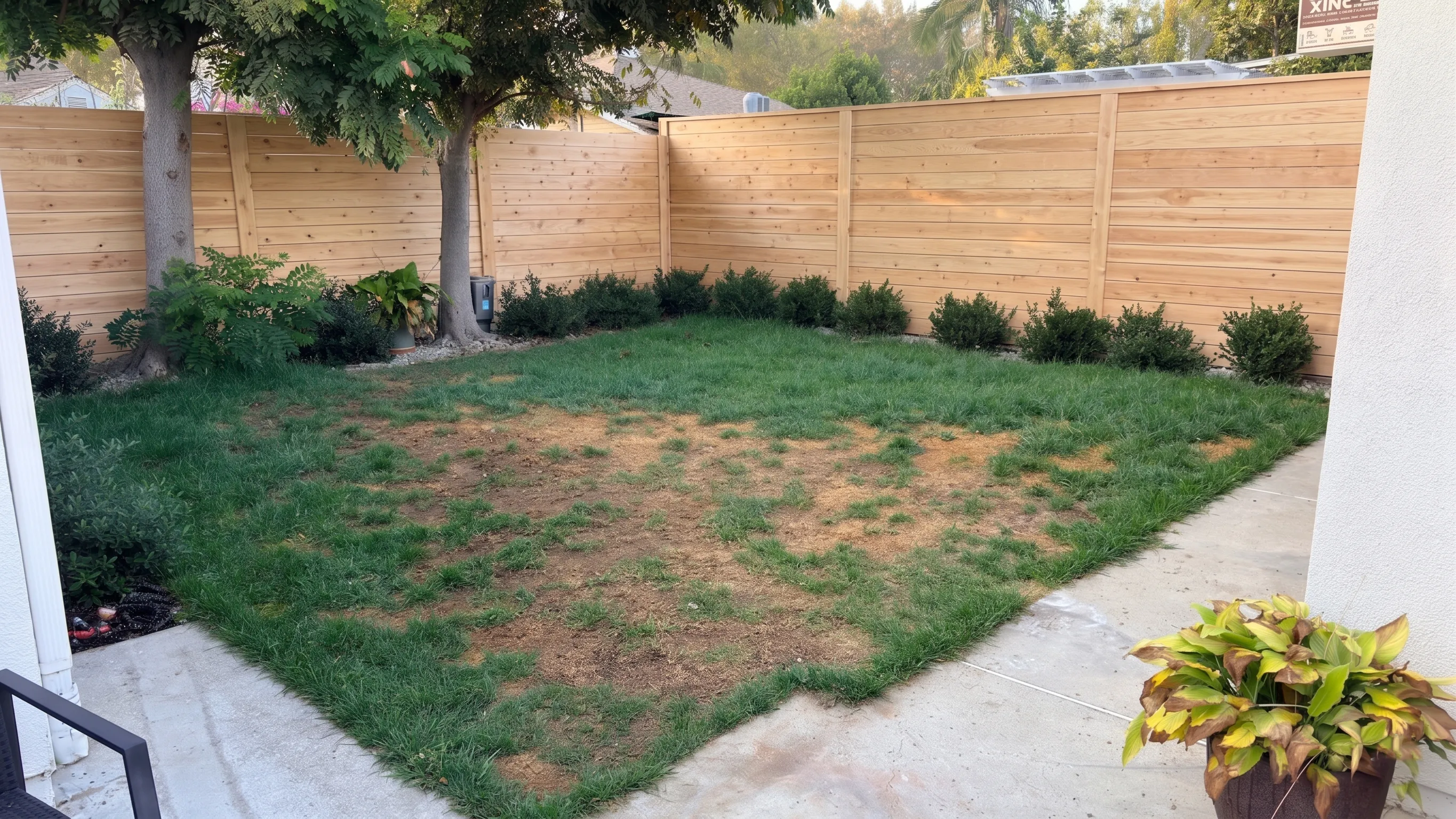 Before view of the Santa Monica lawn before pet turf installation