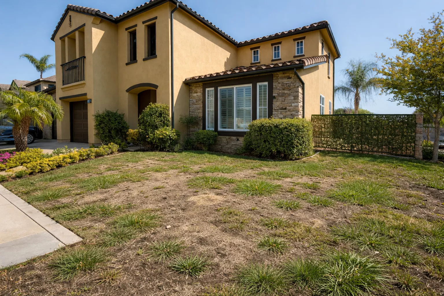Natural grass lawn